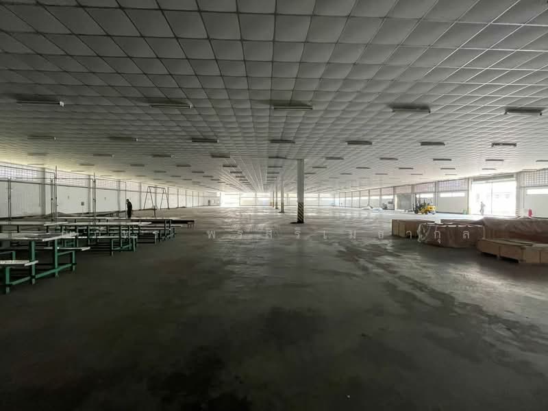 ขาย/ให้เช่า โกดัง/โรงงาน พร้อมออฟฟิศ ที่พัก พื้นที่สีเหลือง 33,600ตรม บ้านบึง ชลบุรี (TW8-26026), Chon Buri (Pattaya), Nong Samsak, Ban Bung, Chon Buri (Pattaya), , 33,600 sqm, Warehouse/Factory For Rent, by ณภัทร พรสิริเมธากุล, 500480588 - DDproperty.com