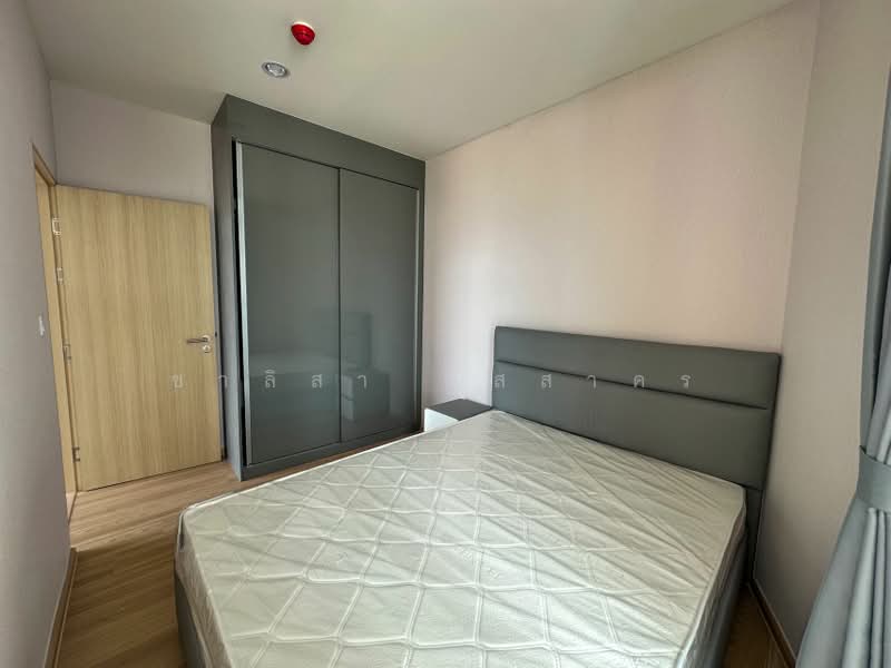 Skyrise Avenue Sukhumvit 64 : สกายไลน์ อเวนิว สุขุมวิท 64, กรุงเทพ, 3 ถนนสุขุมวิท 64, บางจาก, พระโขนง, กรุงเทพ, 44 ตร.ม., คอนโด ให้เช่า, โดย ชาลิสา ปัสสาคร, 500480750 - DDproperty.com