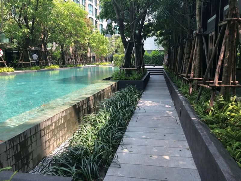 Vtara Sukhumvit 36, Bangkok, 118 Soi Saen Sabai, Phra Kanong, Khlong Toei, Bangkok, 2 Bedrooms, 90 sqm, Condo For Rent, by Bangkok Residential, 500480786 - DDproperty.com