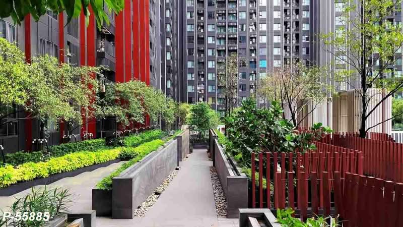 Life Asoke Hype, Bangkok, 339 Chaturathit Rd, Makkasan, Ratchathewi, Bangkok, 1 Bedroom, 32 sqm, Condo For Rent, by Susira Prueksawun, 500480838 - DDproperty.com