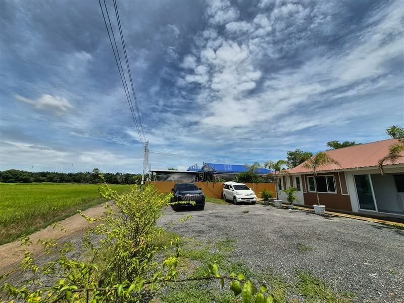 บ้านเดี่ยว 1 ชั้น 100 ตร.ว. บ้านเดี่ยวหนองเสือ ถนนเลียบคลอง8 ฝั่งตะวันออก, ปทุมธานี, ถนนรังสิต-นครนายก, บึงชำอ้อ, หนองเสือ, ปทุมธานี, 200 ตร.ม., บ้านเดี่ยว ขาย, โดย คุณ วิภาวรรณ บุตรพา (หยก), 500481199 - DDproperty.com