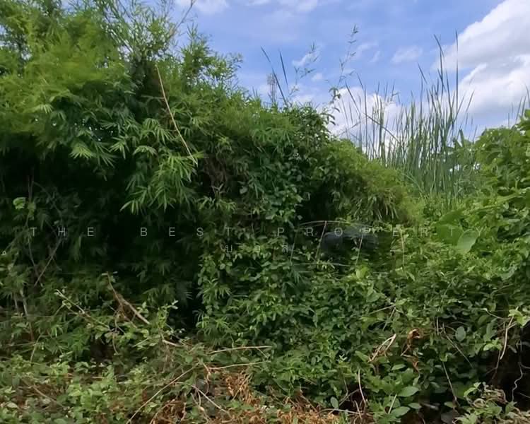 ที่ดินมีนบุรี กรุงเทพมหานคร, Bangkok, Saen Sab, Min Buri, Bangkok, , 172 sqm, Land For Sale, by The Best Property บอส, 500481222 - DDproperty.com