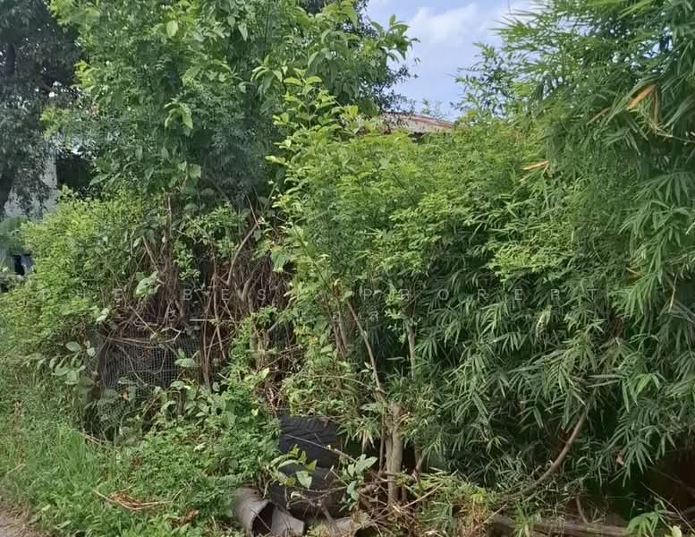 ที่ดินมีนบุรี กรุงเทพมหานคร, Bangkok, Saen Sab, Min Buri, Bangkok, , 172 sqm, Land For Sale, by The Best Property บอส, 500481222 - DDproperty.com