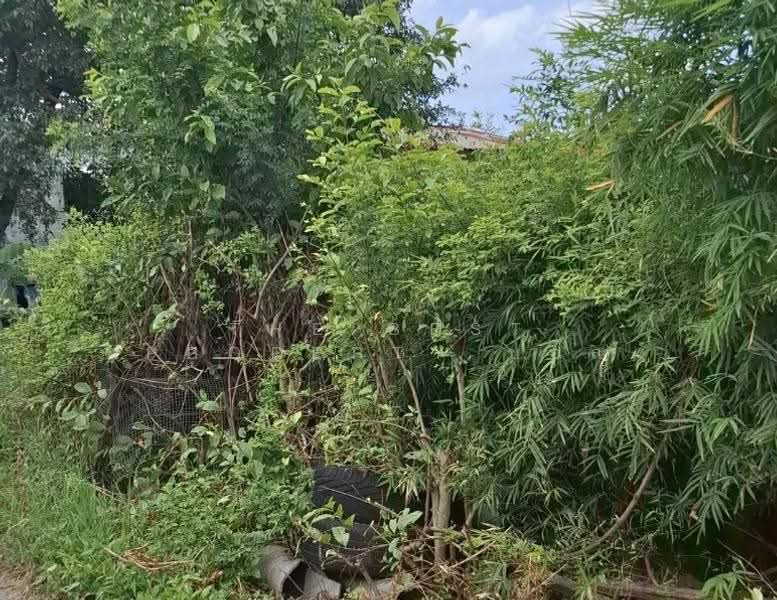 ที่ดินมีนบุรี กรุงเทพมหานคร, Bangkok, Saen Sab, Min Buri, Bangkok, , 172 sqm, Land For Sale, by The Best Property บอส, 500481222 - DDproperty.com
