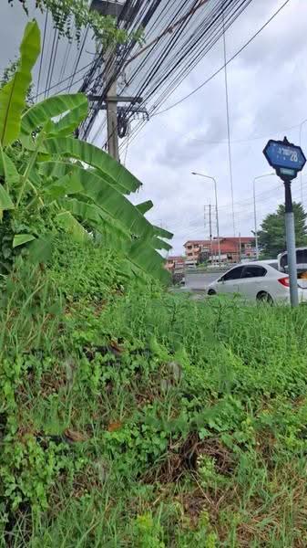 ที่ดินมีนบุรี กรุงเทพมหานคร, กรุงเทพ, แสนแสบ, มีนบุรี, กรุงเทพ, 172 ตร.ม., Land ขาย, โดย The Best Property บอส , 500481222 - DDproperty.com