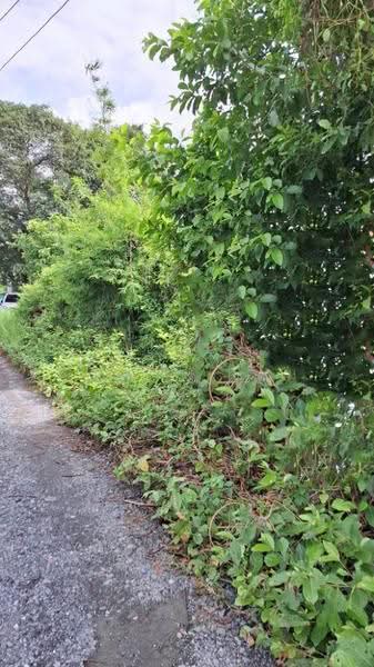 ที่ดินมีนบุรี กรุงเทพมหานคร, Bangkok, Saen Sab, Min Buri, Bangkok, , 172 sqm, Land For Sale, by The Best Property บอส, 500481222 - DDproperty.com