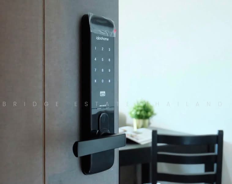 IDEO Sukhumvit 93 : ไอดีโอ สุขุมวิท 93, กรุงเทพ, 2331 ซอยสุขุมวิท 93, บางจาก, พระโขนง, กรุงเทพ, 35 ตร.ม., คอนโด ให้เช่า, โดย Bridge Estate Thailand, 500481279 - DDproperty.com