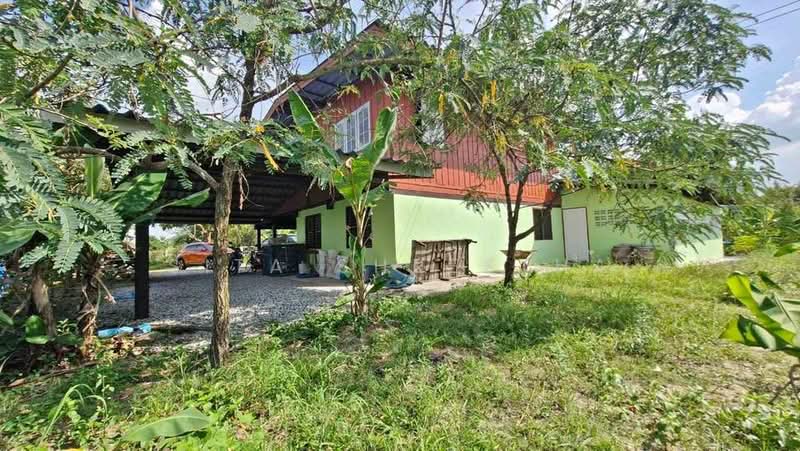บ้าน 4-ห้องนอน, ชลบุรี, พานทอง, ชลบุรี, 220 ตร.ม., บ้านเดี่ยว ขาย, โดย Sita Shrestha, 500481351 - DDproperty.com