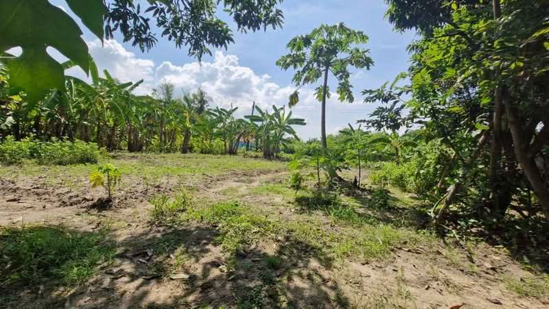 4-BR House, Chon Buri (Pattaya), Phan Thong, Chon Buri (Pattaya), 4 Bedrooms, 220 sqm, Single Detached House For Sale, by Sita Shrestha, 500481351 - DDproperty.com