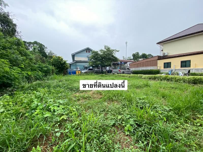 ที่ดินพร้อมสิ่งปลูกสร้างศิลา ขอนแก่น, Khon Kaen, Sila, Muang Khon Kaen, Khon Kaen, , 192 sqm, Land For Sale, by The Best Property นก, 500481482 - DDproperty.com