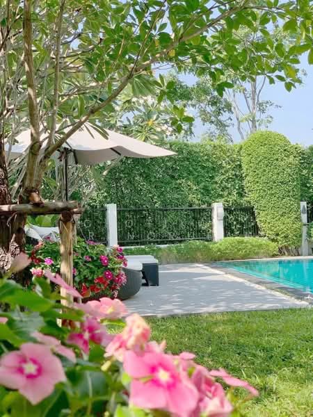 undefined, Bangkok, Dok Mai, Prawet, Bangkok, 4 Bedrooms, 390 sqm, Single Detached House For Rent, by Chotika Rakrungrueang, 500481562 - DDproperty.com