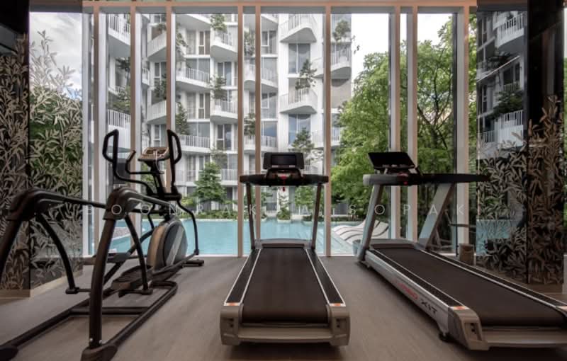 Chewathai Residence Thonglor, Bangkok, Soi Thonglor 20, Thonglor Road, Khlong Tan Nua, Watthana, Bangkok, 1 Bedroom, 31 sqm, Condo For Rent, by Boonraksa Sopak, 500481568 - DDproperty.com