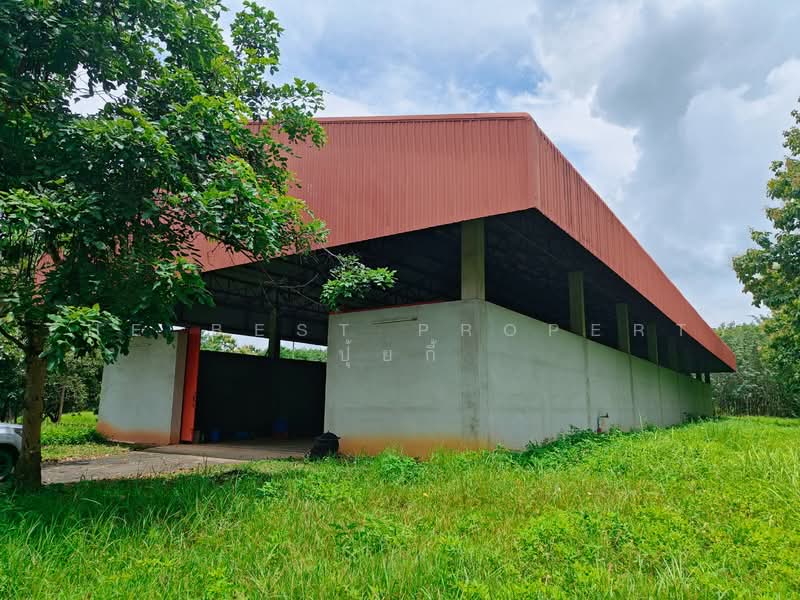 โกดังพร้อมที่ดินเทิง เชียงราย, chiang-rai, Cheing Kein, Thoeng, Chiang Rai, , 750 sqm, Warehouse/Factory For Sale, by The Best Property ปุ้ยกี้, 500481607 - DDproperty.com