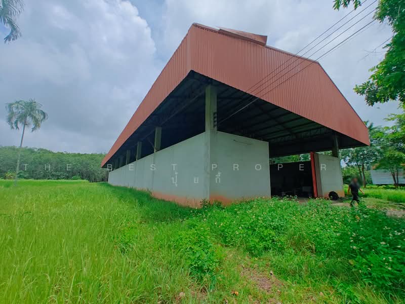 โกดังพร้อมที่ดินเทิง เชียงราย, เชียงราย, เชียงเคี่ยน, เทิง, เชียงราย, 750 ตร.ม., โกดัง-โรงงาน ขาย, โดย The Best Property ปุ้ยกี้, 500481607 - DDproperty.com