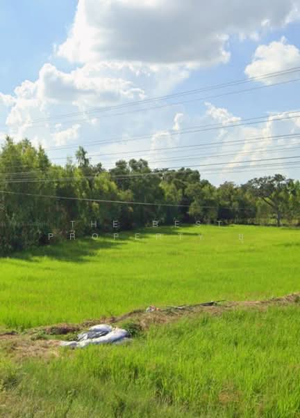 ที่ดินพุทไธสง บุรีรัมย์, Buri Ram, Ban Yang, Phu Thai Song, Buri Ram, , 16,000 sqm, Land For Sale, by The Best Property ยุ, 500481648 - DDproperty.com