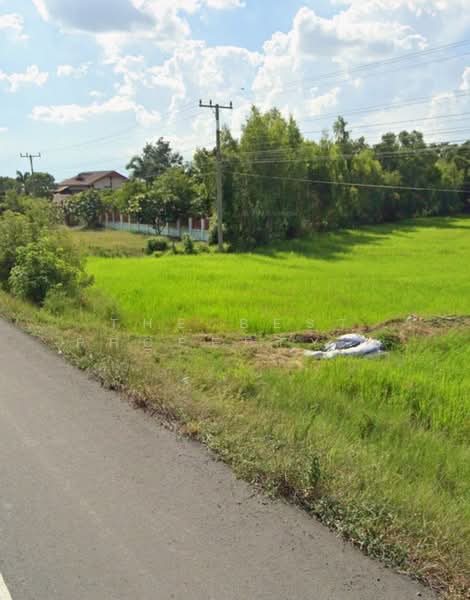 ที่ดินพุทไธสง บุรีรัมย์, Buri Ram, Ban Yang, Phu Thai Song, Buri Ram, , 16,000 sqm, Land For Sale, by The Best Property ยุ, 500481648 - DDproperty.com