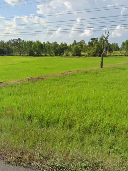 ที่ดินพุทไธสง บุรีรัมย์, Buri Ram, Ban Yang, Phu Thai Song, Buri Ram, , 16,000 sqm, Land For Sale, by The Best Property ยุ, 500481648 - DDproperty.com