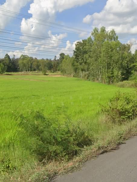 ที่ดินพุทไธสง บุรีรัมย์, บุรีรัมย์, บ้านยาง, พุทไธสง, บุรีรัมย์, 16,000 ตร.ม., ที่ดิน ขาย, โดย The Best Property ยุ, 500481648 - DDproperty.com