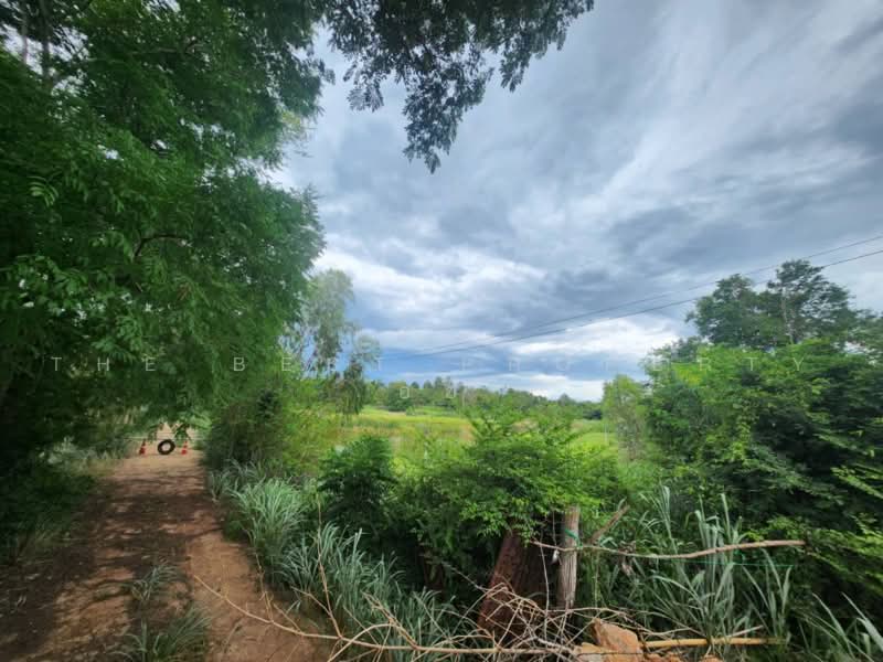 ที่ดินสวนผึ้ง ราชบุรี, Ratchaburi, Tha Khoei, Suan Phung, Ratchaburi, , 58,520 sqm, Land For Sale, by The Best Property อ้อ, 500481842 - DDproperty.com