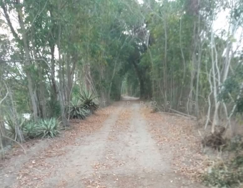 ที่ดินสวนผึ้ง ราชบุรี, Ratchaburi, Tha Khoei, Suan Phung, Ratchaburi, , 58,520 sqm, Land For Sale, by The Best Property อ้อ, 500481842 - DDproperty.com