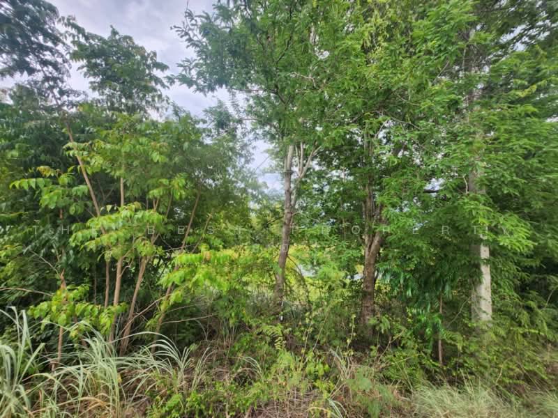 ที่ดินสวนผึ้ง ราชบุรี, Ratchaburi, Tha Khoei, Suan Phung, Ratchaburi, , 58,520 sqm, Land For Sale, by The Best Property อ้อ, 500481842 - DDproperty.com
