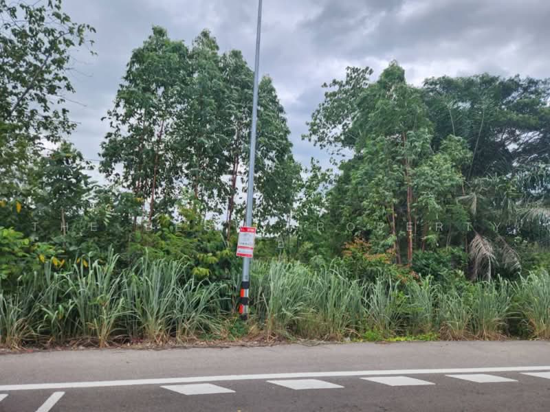 ที่ดินสวนผึ้ง ราชบุรี, ราชบุรี, ท่าเคย, สวนผึ้ง, ราชบุรี, 58,520 ตร.ม., ที่ดิน ขาย, โดย The Best Property อ้อ, 500481842 - DDproperty.com