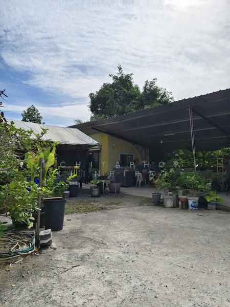2-BR House, Surat Thani, Bo Put, Ko Samui, Surat Thani, 2 Bedrooms, 141 sqm, Single Detached House For Sale, by Achitaphop Klinpipat, 500481993 - DDproperty.com
