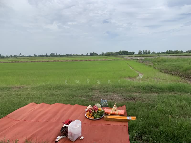 ขายที่ดิน 11 ไร่ 3 งาน อ.บางกระทุ่ม จ.พิษณุโลก ทำเลดี บรรยากาศร่มรื่น เหมาะสำหรับการลงทุน, พิษณุโลก, นครป่าหมาก, บางกระทุ่ม, พิษณุโลก, 18,800 ตร.ม., ที่ดิน ขาย, โดย คุณบอย, 500482068 - DDproperty.com