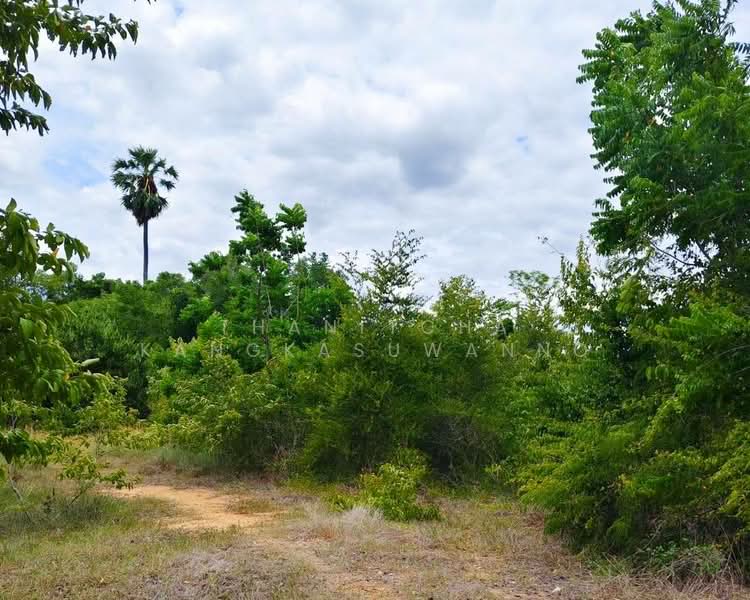 ที่ดินปักธงชัย นครราชสีมา, Nakhon Ratchasima, Ta Khu, Pak Thong Chai, Nakhon Ratchasima, , 1,240 sqm, Land For Sale, by Thanitcha Kangkasuwanno, 500482098 - DDproperty.com