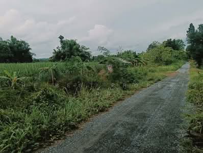 ขาย - ที่ดินเวียงเก่า ขอนแก่น, ขอนแก่น