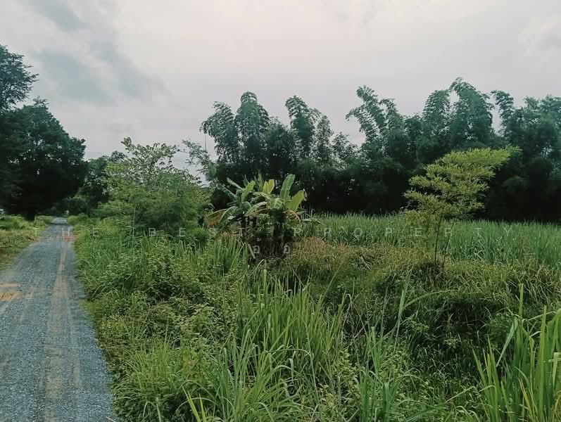 ที่ดินเวียงเก่า ขอนแก่น, Khon Kaen, Nai Muang, Phu Wiang, Khon Kaen, , 8,035 sqm, Land For Sale, by The Best Property อ้อ, 500482154 - DDproperty.com