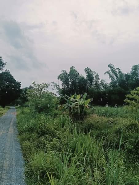 ที่ดินเวียงเก่า ขอนแก่น, ขอนแก่น, ในเมือง, ภูเวียง, ขอนแก่น, 8,035 ตร.ม., ที่ดิน ขาย, โดย The Best Property อ้อ, 500482154 - DDproperty.com