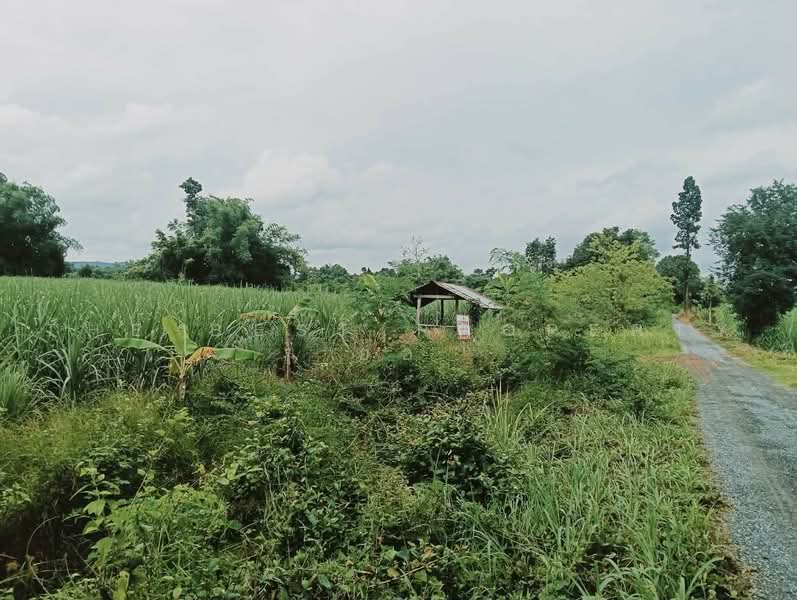ที่ดินเวียงเก่า ขอนแก่น, ขอนแก่น, ในเมือง, ภูเวียง, ขอนแก่น, 8,035 ตร.ม., ที่ดิน ขาย, โดย The Best Property อ้อ, 500482154 - DDproperty.com
