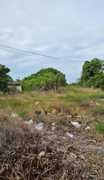 ที่ดินบางบ่อ สมุทรปราการ, Samut Prakan, Bang Bo, Samut Prakan, , 2,128 sqm, Land For Sale, by The Best Property ต้อย, 500482189 - DDproperty.com