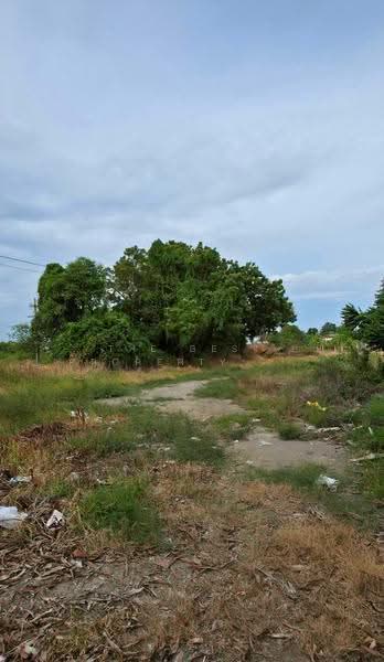 ที่ดินบางบ่อ สมุทรปราการ, สมุทรปราการ, บางบ่อ, สมุทรปราการ, 2,128 ตร.ม., Land ขาย, โดย The Best Property ต้อย, 500482189 - DDproperty.com