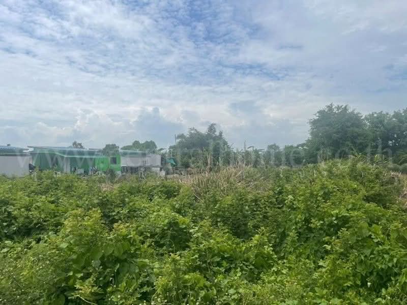 โยธาธิการ สมุทรปราการ 2032, Samut Prakan, Bang Sao Thong, Samut Prakan, , 1,604 sqm, Land For Sale, by คุณ วรกัลยา ( โบว์ ), 500482191 - DDproperty.com