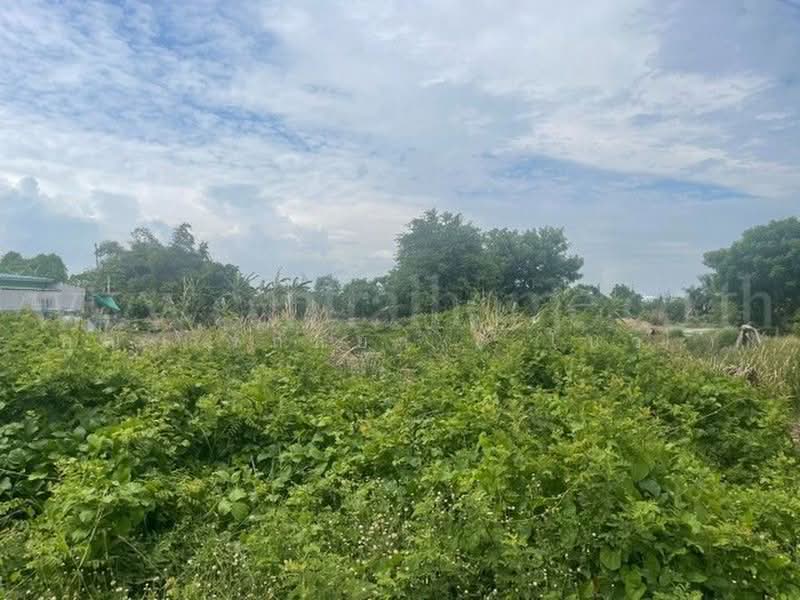 โยธาธิการ สมุทรปราการ 2032, Samut Prakan, Bang Sao Thong, Samut Prakan, , 1,604 sqm, Land For Sale, by คุณ วรกัลยา ( โบว์ ), 500482191 - DDproperty.com