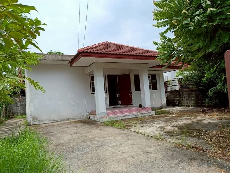 Phanason Garden Home 2 : พนาสนธิ์ การ์เด้นโฮม 2, กรุงเทพ, ซอย เลียบวารี 79, โคกแฝด, หนองจอก, กรุงเทพ, 130 ตร.ม., บ้านเดี่ยว ขาย, โดย คุณ จันทร์จิรา รัตตนวิเชียร (จัน), 500482223 - DDproperty.com