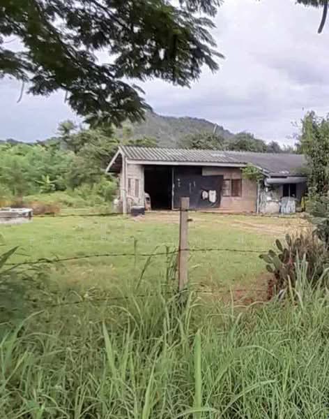 ที่ดินแก่งกระจาน เพชรบุรี, Phetchaburi, Kaeng Krachan, Phetchaburi, , 6,344 sqm, Land For Sale, by The Best Property พิมมี่, 500482230 - DDproperty.com