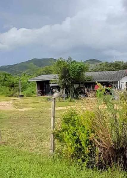 ที่ดินแก่งกระจาน เพชรบุรี, Phetchaburi, Kaeng Krachan, Phetchaburi, , 6,344 sqm, Land For Sale, by The Best Property พิมมี่, 500482230 - DDproperty.com