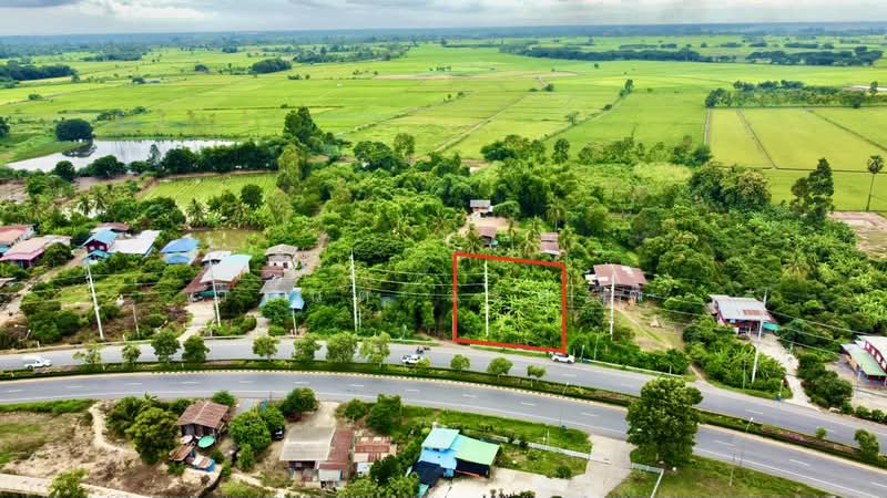 เมืองพิจิตร, Phichit, 113, Kha Mang, Muang Phichit, Phichit, , 1,788 sqm, Land For Sale, by Wasan Wasati, 500482374 - DDproperty.com