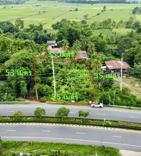 เมืองพิจิตร, Phichit, 113, Kha Mang, Muang Phichit, Phichit, , 1,788 sqm, Land For Sale, by Wasan Wasati, 500482374 - DDproperty.com