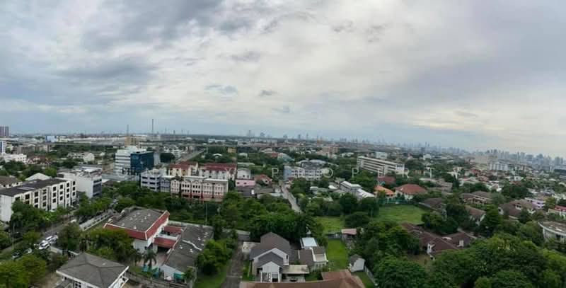 Life Sukhumvit 62, Bangkok, Soi Sukhumvit 62, Bang Chak, Phra Khanong, Bangkok, 1 Bedroom, 25 sqm, Condo For Rent, by Connex Property, 500482430 - DDproperty.com