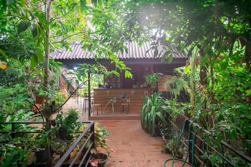 ที่ดินพร้อมสิ่งปลูกสร้างแกลง ระยอง, Rayong, Klaeng, Muang Rayong, Rayong, , 644 sqm, Land For Sale, by The Best Property อีฟ, 500482442 - DDproperty.com