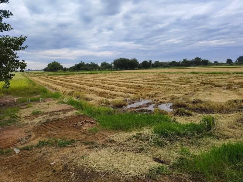 ที่ดินพนมทวน กาญจนบุรี, Kanchanaburi, Phanom Thuan, Kanchanaburi, , 8,424 sqm, Land For Sale, by The Best Property นิด, 500482749 - DDproperty.com