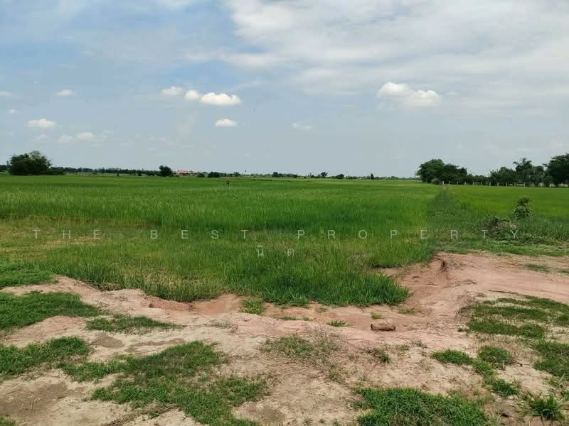 ที่ดินพนมทวน กาญจนบุรี, Kanchanaburi, Phanom Thuan, Kanchanaburi, , 8,424 sqm, Land For Sale, by The Best Property นิด, 500482749 - DDproperty.com
