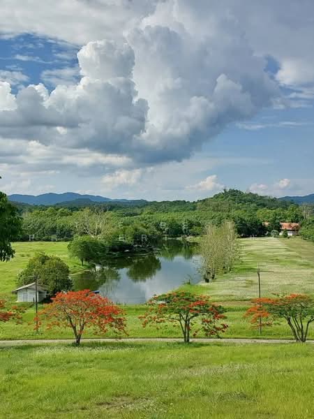 รีสอร์ทพร้อมที่ดิน เทิง เชียงราย, เชียงราย, เชียงเคี่ยน, เทิง, เชียงราย, 150 ตร.ม., บ้านเดี่ยว ขาย, โดย The Best Property ปุ้ยกี้, 500482812 - DDproperty.com