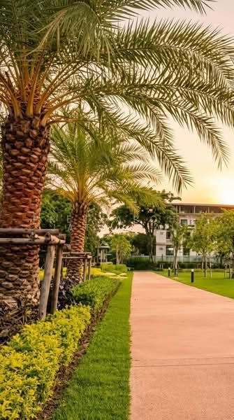 Vista Garden : วิสต้า การ์เด้น, กรุงเทพ, 53 ซอย แสงทิพย์, พระโขนงเหนือ, วัฒนา, กรุงเทพ, 45 ตร.ม., คอนโด ขาย, โดย Preeyapohn Jatuchai, 500482945 - DDproperty.com