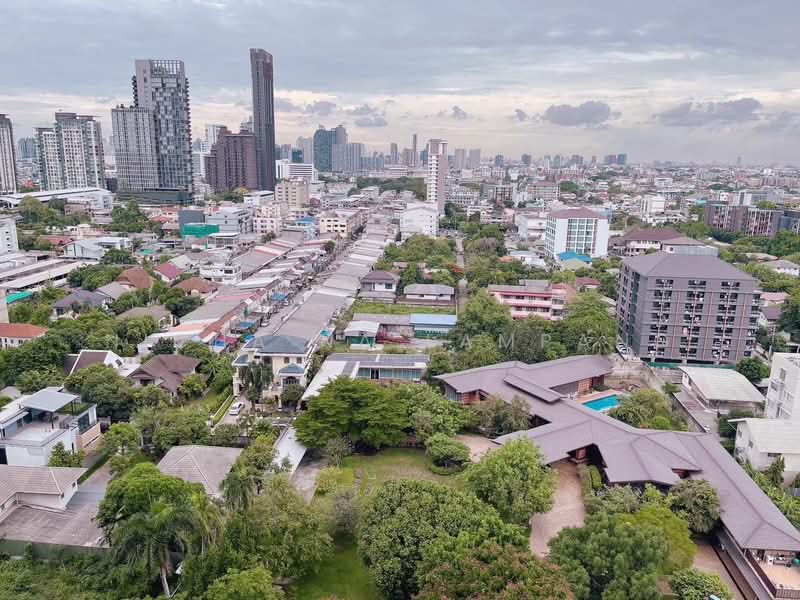 Whizdom Connect Sukhumvit, Bangkok, 1 Soi Piyibut 1, Sukhumvit Road, Bang Na, Bangkok, 1 Bedroom, 30 sqm, Condo For Sale, by Nicha Na Lampang, 500482951 - DDproperty.com