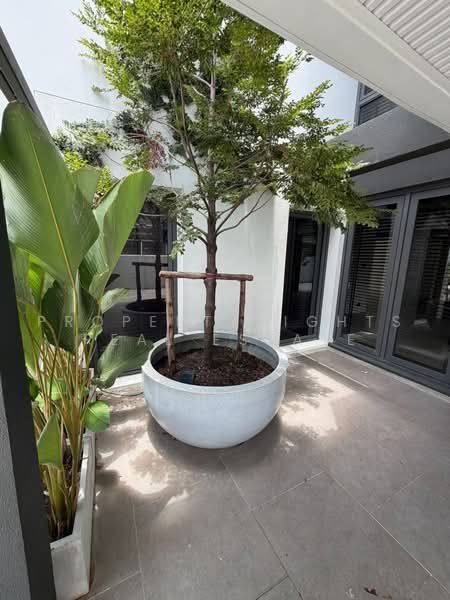House BTS Phrakhanong 4 bed / 4 bath, Bangkok, Phra Kanong Nua, Watthana, Bangkok, 4 Bedrooms, 310 sqm, Single Detached House For Rent, by PROPERTYSIGHTS REAL ESTATE, 500483045 - DDproperty.com
